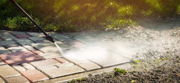 Best Roof Washing  in Oxford, PA